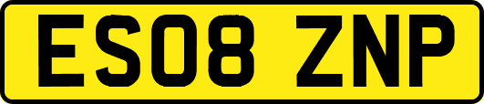 ES08ZNP