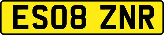 ES08ZNR