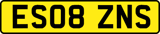 ES08ZNS