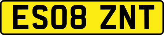 ES08ZNT