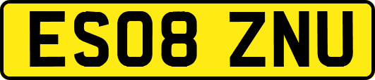 ES08ZNU