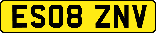 ES08ZNV