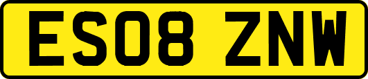 ES08ZNW