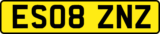 ES08ZNZ
