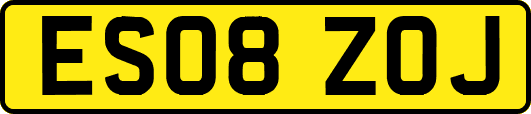 ES08ZOJ