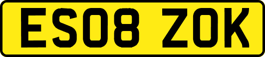 ES08ZOK