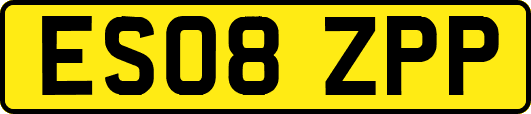ES08ZPP