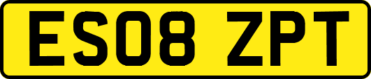 ES08ZPT