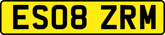 ES08ZRM
