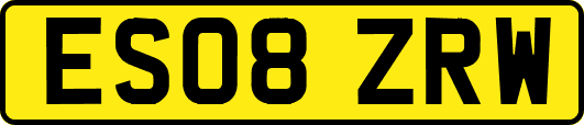 ES08ZRW