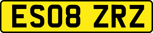 ES08ZRZ