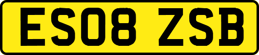 ES08ZSB
