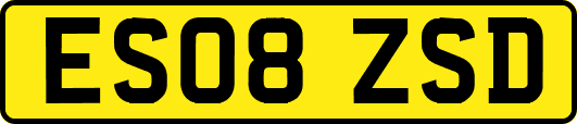 ES08ZSD