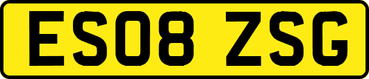 ES08ZSG