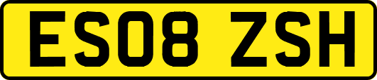 ES08ZSH