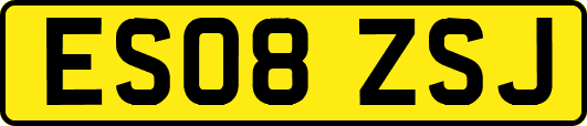 ES08ZSJ