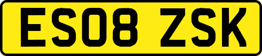 ES08ZSK