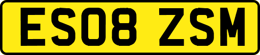 ES08ZSM