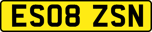 ES08ZSN