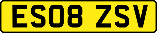 ES08ZSV