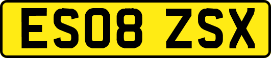 ES08ZSX