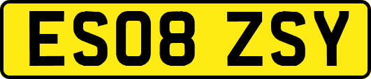 ES08ZSY