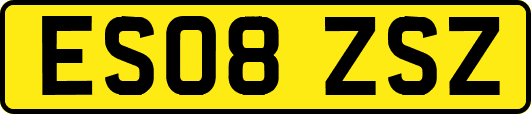 ES08ZSZ