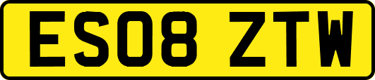 ES08ZTW