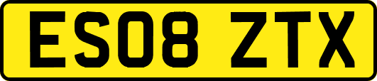 ES08ZTX