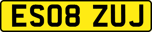 ES08ZUJ