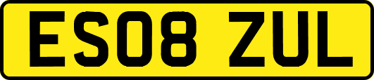 ES08ZUL