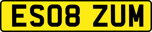 ES08ZUM