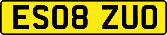 ES08ZUO