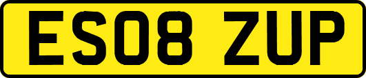 ES08ZUP