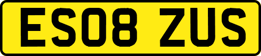 ES08ZUS