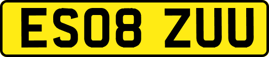 ES08ZUU