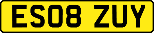 ES08ZUY