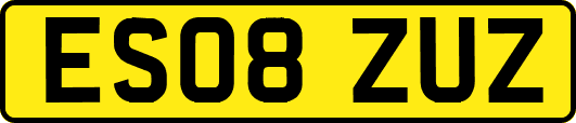 ES08ZUZ