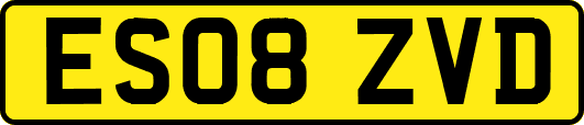 ES08ZVD