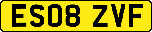 ES08ZVF