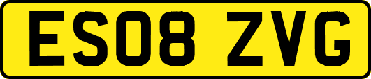 ES08ZVG
