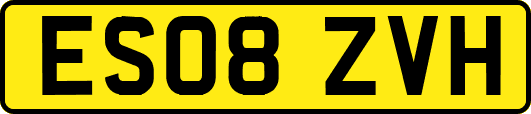ES08ZVH