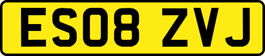 ES08ZVJ