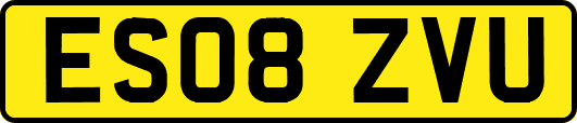 ES08ZVU