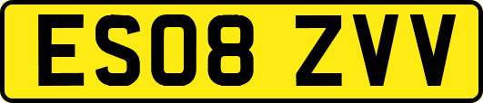 ES08ZVV