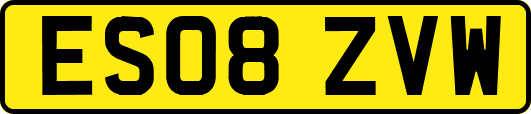 ES08ZVW