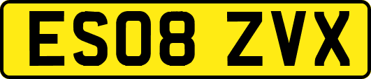 ES08ZVX