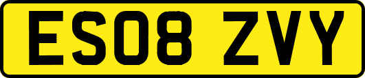 ES08ZVY