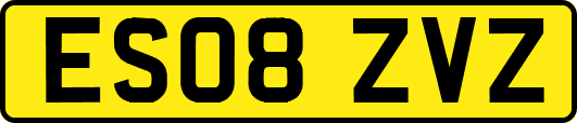 ES08ZVZ