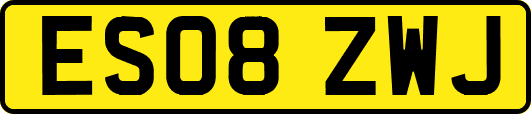 ES08ZWJ